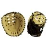 Akadema Fastpitch AEA 65 34 In Catchers Mitt
