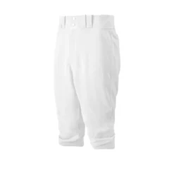 Mizuno Premier Short Pant 350280