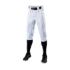 Rawlings Evoshield Salute Pinstripe Knicker Pants