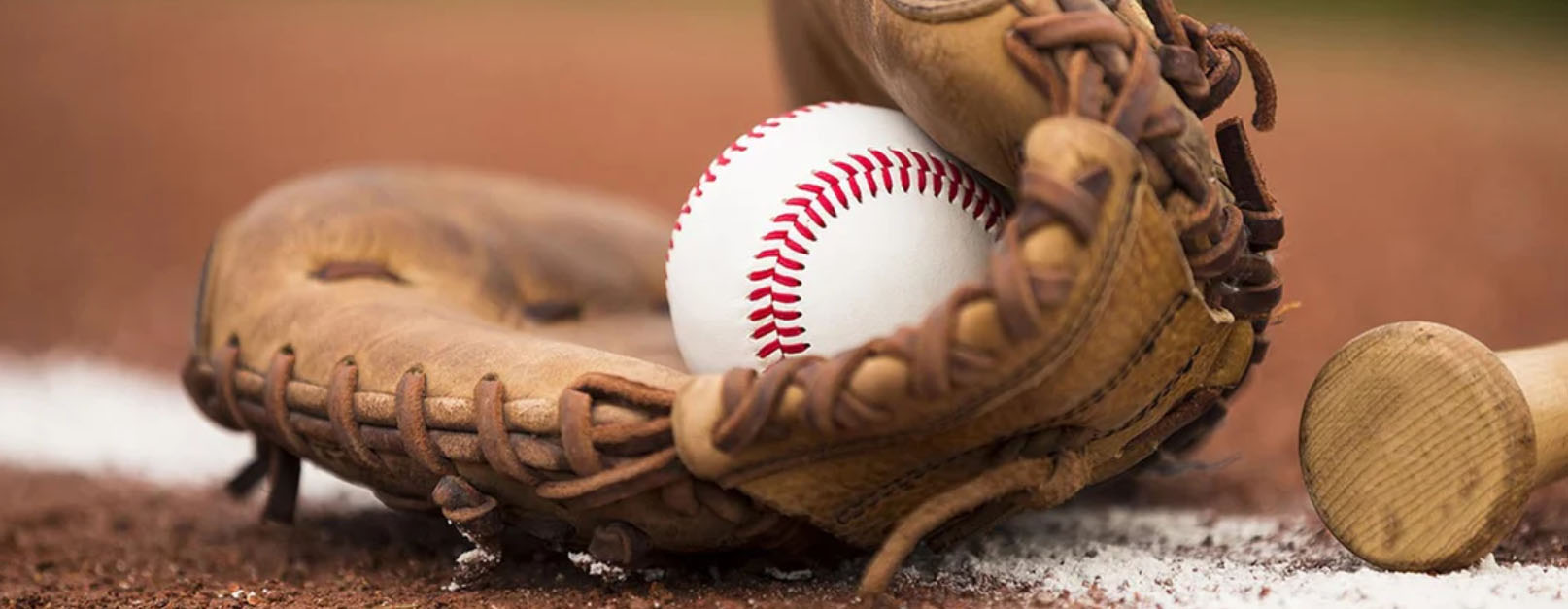 Baseball Bargains -Baseball Bargains fdgdfgh