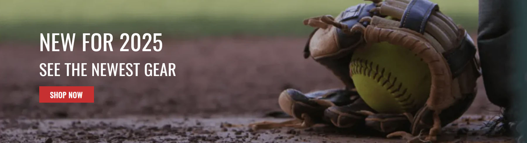 Baseball Bargains -Baseball Bargains ghfgh